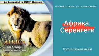 Африка. Серенгети .Документальный фильм. Full HD