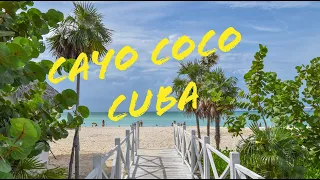 Cayo Coco - Cuba 🇨🇺