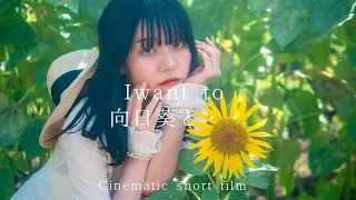 向日葵と・・I want to | Cinematic short film by Lumix GH5m2 | LEICA DG SUMMILUX 25mm/F1.4 II ASPH.