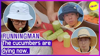 [RUNNINGMAN] Огурцы сейчас умирают. (АНГЛИЙСКИЕ СУБТИТРЫ)