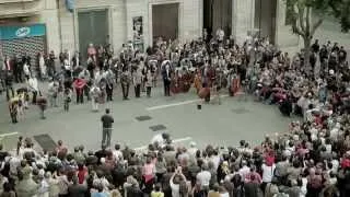 Flash Mob Sabadell (HIMNO A LA aLEGRIA)