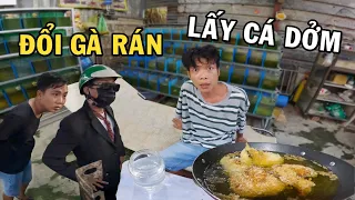 Thử mang cá Betta dỏm qua TroII Anh Nhí và món Gà Rán Siêu Giòn