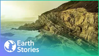 The Wild Coastlines Of New Zealand (Wildlife Documentary) | Earth Stories