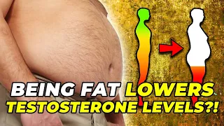 Why Being Fat Will Lower Your Testosterone Levels | Science Explained