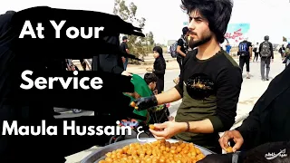 How Iraqi People Serve the Pilgrims of Imam Hussain ع | Najaf to Karbala Arbaeen Walk