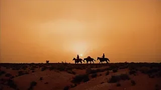 John Ford | 125 Years