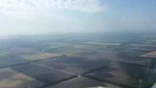 "долетался сучёнок"-столкновение самолёта с птицей