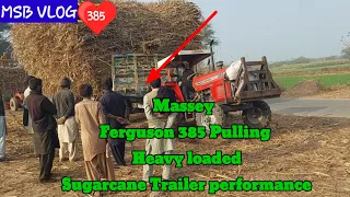 Massey Ferguson 385 Pulling Heavy loaded Sugarcane Trailer performance |MSB VLOG@DuckyBhai