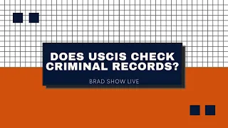 Does USCIS check criminal records?