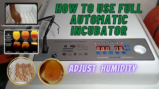 HOW TO USE FULL AUTOMATIC INCUBATOR | 36 EGGS | ADJUST HUMIDITY | TONSKIE TV
