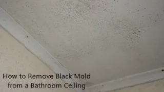 How to Remove Black Mold from a Bathroom Ceiling