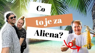 Vracíme se z Kambodže do Thajska! Po cestě jsme snědli Aliena ? :D