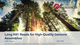 Long HiFi reads for high-quality genome assemblies