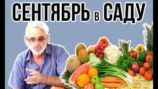 Садовые работы в СЕНТЯБРЕ / Игорь Билевич