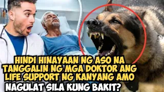 HINDI HINAYAAN NG ASO NA TANGGALIN NG DOKTOR ANG LIFE SUPPORT NG KANYANG AMO NAGULAT SILA KUNG BAKIT