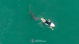 Hier trifft ein Profi-Surfer auf ein 2,5-Meter-Monster