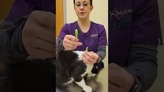 Tick Removal using the Tick Tornado