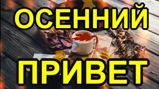 ОСЕННИЙ ПРИВЕТ🍁 ЧАШКА КОФЕ ДЛЯ ТЕБЯ☕МУЗЫКАЛЬНАЯ ОТКРЫТКА ДЛЯ ВАС 🎶ОЧЕНЬ КРАСИВАЯ МУЗЫКА