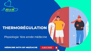 2/ Thermorégulation | Physiologie 1ère Med