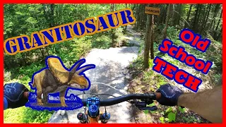 Old school trails are still ALIVE and well! | ♦♦ Granitosaur - Sentiers du moulin