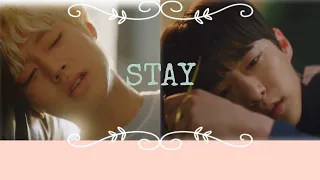 Stay: Park Ji-Hoon/Bae In-Hyuk