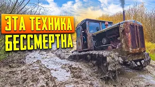 This old tractor Surprised me!!! We Test the T-74 in swamp