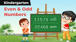 Even & Odd Numbers | Learning Even And Odd Numbers | Kindergarten