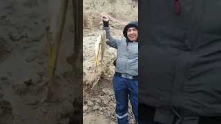 Рыбалка шардара | рыбалка   | рыбалка на сазана | рыбалка с начеёвкой| рыбалка Казахстан