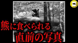 自治体が注意喚起する中、遭遇した熊に近づき写真撮影を始めた大学生4人。直後、熊に襲われそれが人生最後の写真になる「ニュージャージー州クロクマ襲撃事件」