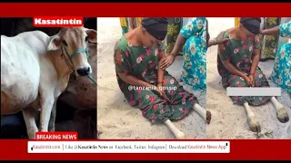 Woman Turn Into Cow After Sleepīng With Someone's Husband | Kasatintin