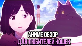 Она и её кот | Она и её кот обзор | Аниме обзор Она и её кот | Kanojo to Kanojo no Neko review