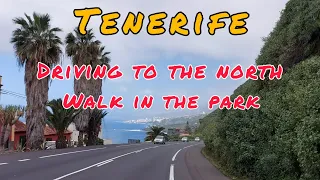 Driving to the north.  Walk in the park. Tenerife, Spain. 4K