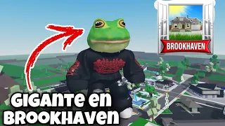 ✨PROBANDO LAS COPIAS DE BROOKHAVEN✨ Roblox