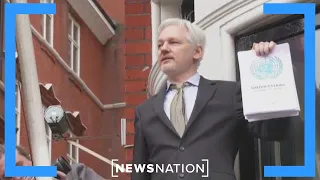 US shouldn't prosecute Julian Assange for exposing wrongdoings: Rep. Rosendale | Morning in America
