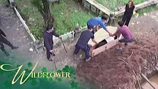 Wildflower: The Ardientes lock Ivy inside a coffin to bury her alive | EP 162