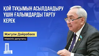 Қой тұқымын асылдандыру үшін ғалымдарды тарту керек