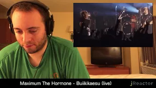 Maximum The Hormone - Buiikikaesu (live) REACTION!