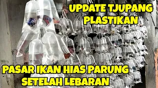 DARI 10.000 SAMPAI 35.000 HARGA IKAN TJUPANG PLASTIKAN DI PASAR PARUNG || COCOK UNTUK PENGHOBI NIH.!