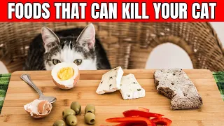 14 Human Foods That Are Toxic to Cats!