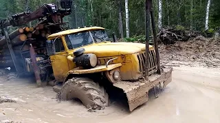 Вездеход болотоход УРАЛ лесовоз