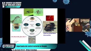 Importancia del control vectorial en Dengue - Dr. Juan Carlos Navarro