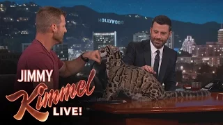 Wild Animals with Dave Salmoni