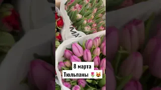 8 марта Тюльпаны. Дарите женщинам цветы. Важен твой комментарий. #shortvideo #петербург #8марта