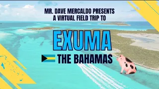 Exuma, The Bahamas Virtual Field Trip to see Swimming Pigs, Nurse Sharks, Iguanas and More!