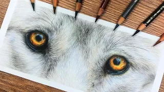 How To Draw WOLF EYES in COLORED PENCIL | Drawing Tutorial