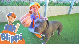 Blippi visita un Refugio de Animales - Blippi Españo | Aprende Colores y Objetos