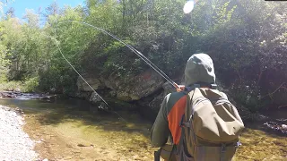 Small Stream Fly Fishing at it's FINEST | a GoPro Film