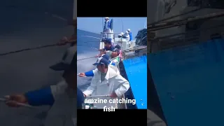 amazine catching fish in the sea #fishing #fishingvideo #catchingfish #seafishing #youtubeshorts