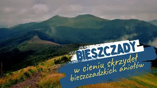 Bieszczady | w cieniu skrzydeł bieszczadzkich aniołów @siegajacszczytow1309