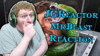 Reacting to "Face Your Biggest Fear To Win $800,000" (MrBeast Reaction)